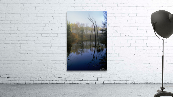 Reflections E0141 Wall Preview