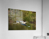 Birds 16 Acrylic Print