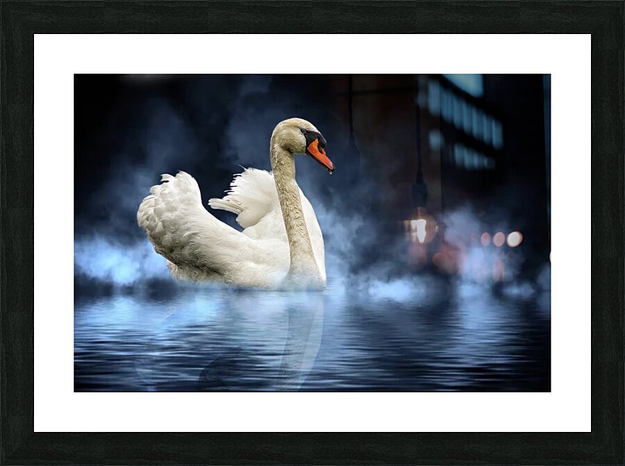 Swan Lake Picture Frame print
