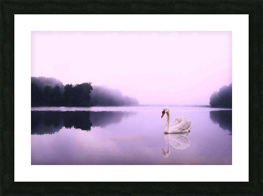 Birds 8 Picture Frame print