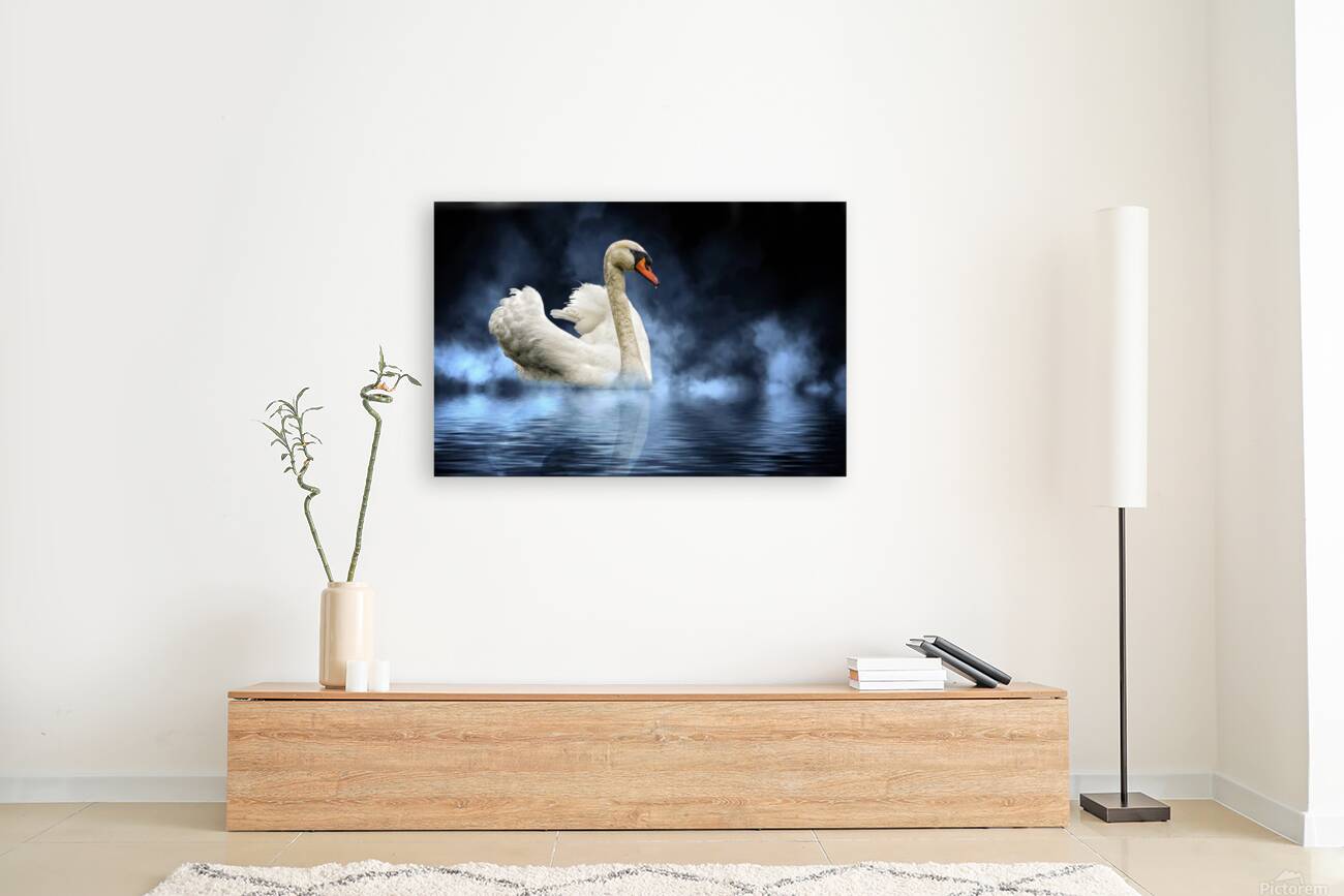 Swan Lake Reproduction