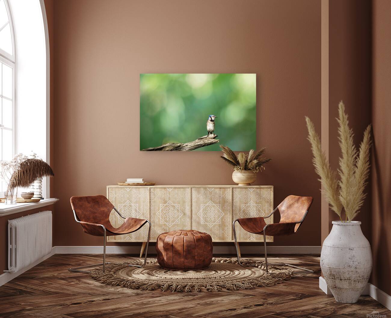 Birds 14 Reproduction