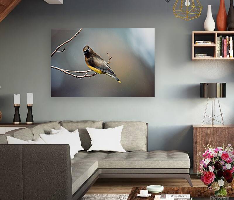 Birds 15 Reproduction