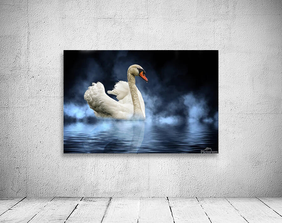 Swan Lake Wall Preview