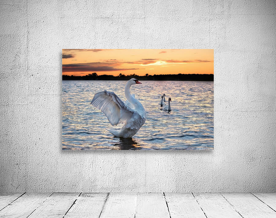 Birds 2 Wall Preview