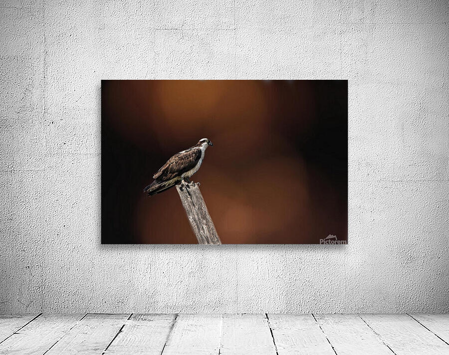 Birds 5 Wall Preview
