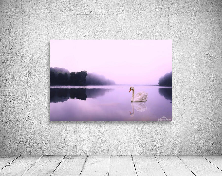 Birds 8 Wall Preview