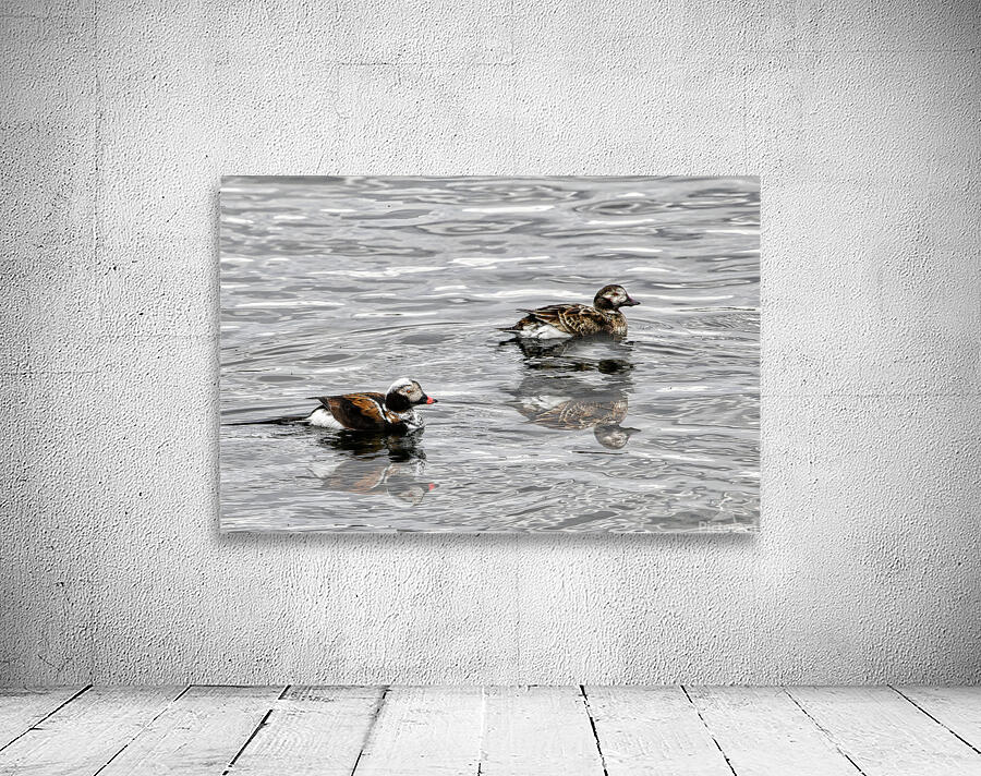 Birds 9 Wall Preview