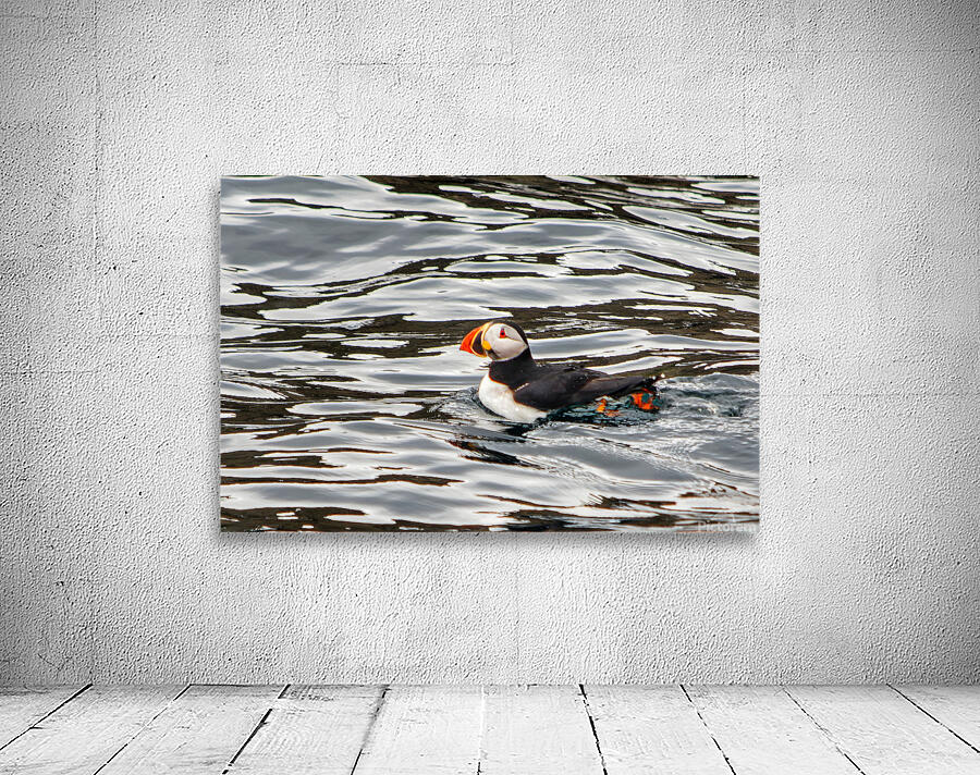 Birds 11 Wall Preview