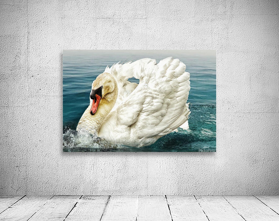 Birds 13 Wall Preview
