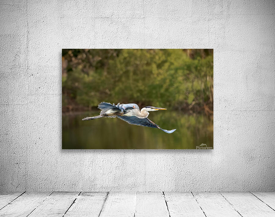 Birds 16 Wall Preview