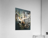 Lazy Acrylic Print