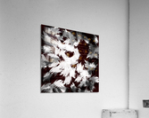 Brush Strokes Acrylic Print