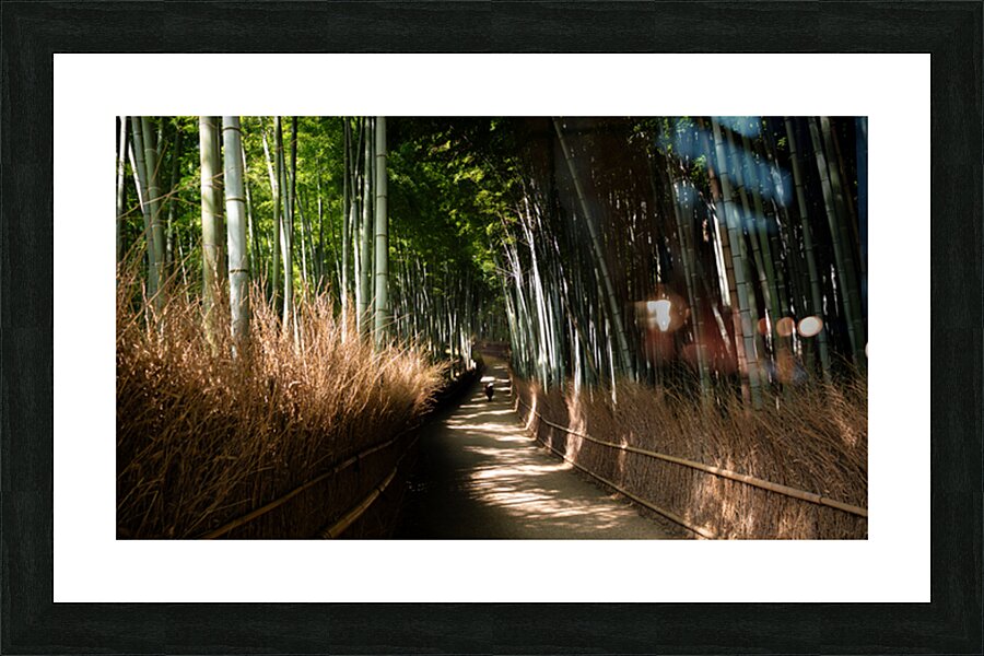 Arashimyama Picture Frame print