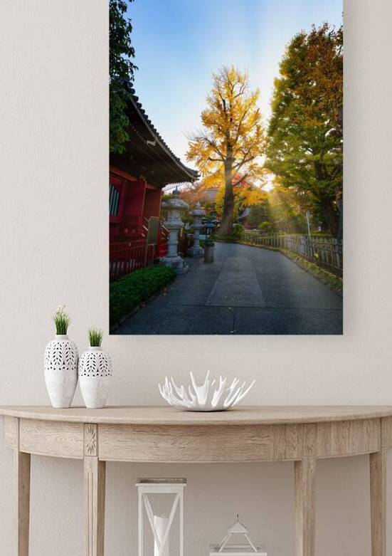 Senso Ji Ginko by Connor MacDonald
