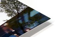Backlit Blossoms HD Metal print