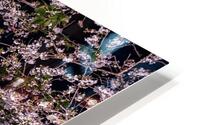 Blooming Heart HD Metal print
