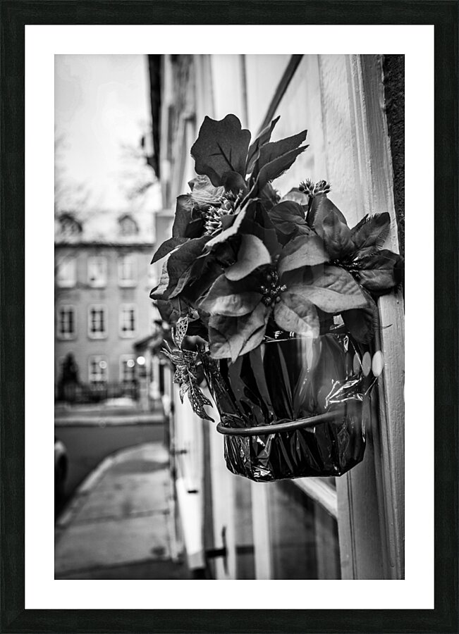 Black flower Picture Frame print