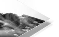Dream  HD Metal print