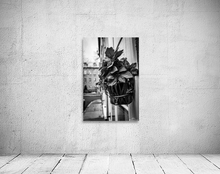 Black flower Wall Preview