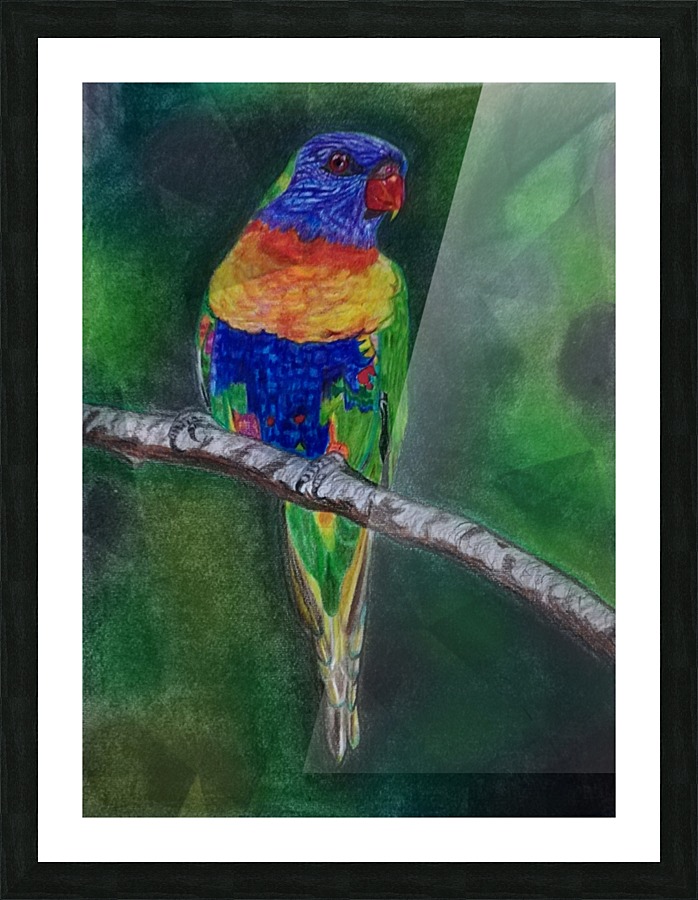 Bird Picture Frame print