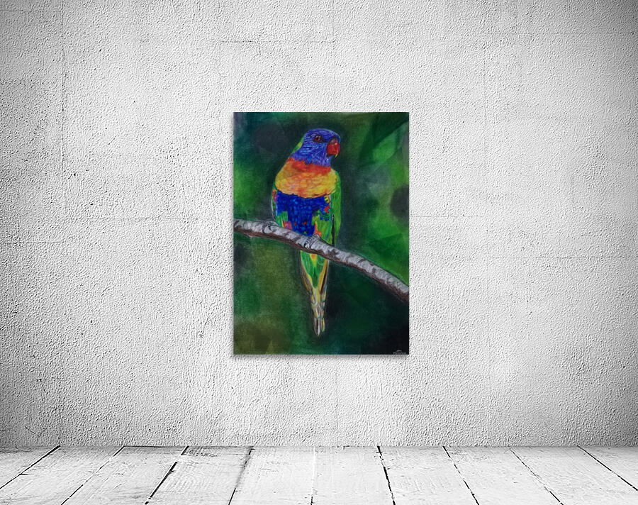 Bird Wall Preview