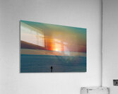 Calypso Acrylic Print