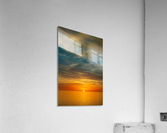Sativum Acrylic Print