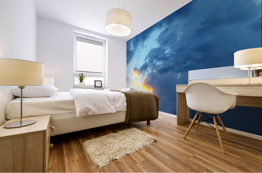 Troubled Waters Mural print