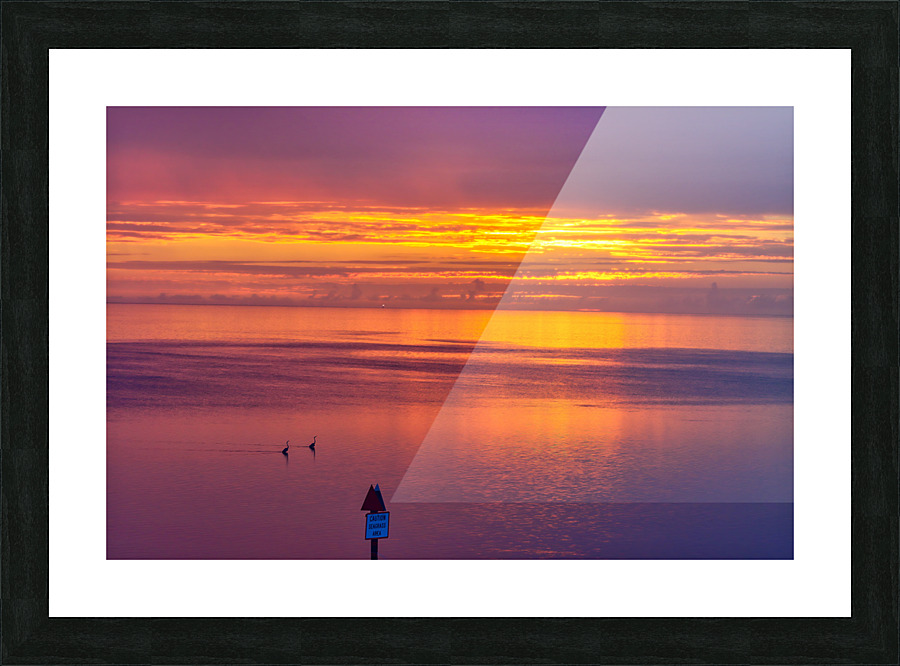 Two Herons Sunset Picture Frame print