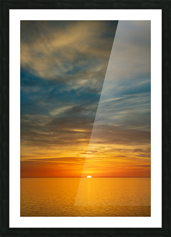 Sativum Picture Frame print