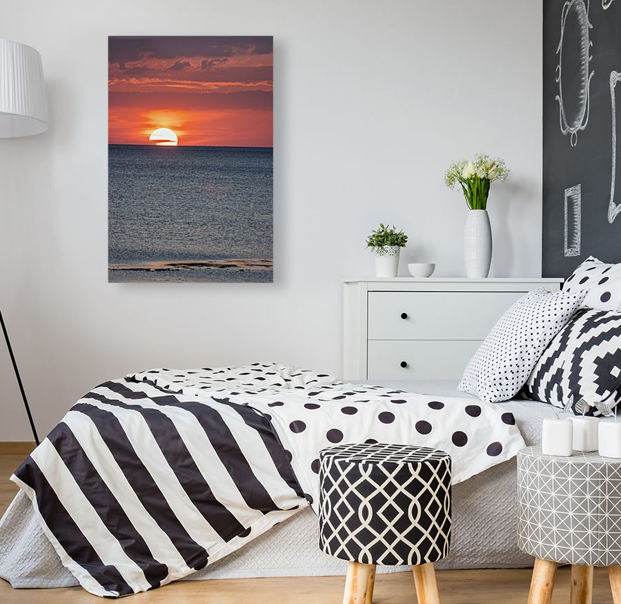The Shallows Last Light Reproduction