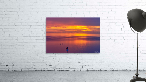 Two Herons Sunset Wall Preview