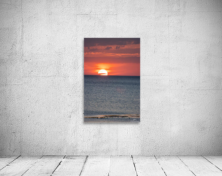 The Shallows Last Light Wall Preview