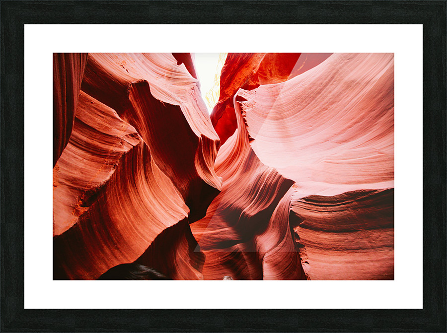 Curious Picture Frame print