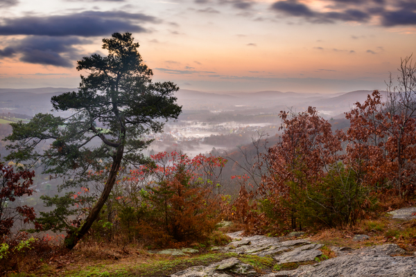 November Mornings Digital Download