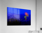 Carnival Acrylic Print