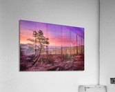 Fiery Sky Acrylic Print