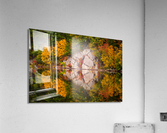 Anvil Acrylic Print