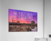 Fire in the Sky Acrylic Print