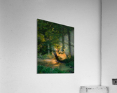 Morning Light Acrylic Print