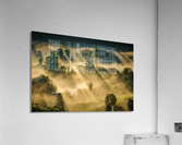 Patterns in the Mist 2 Acrylic Print