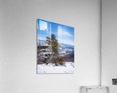 Winter Blues Acrylic Print