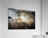 Reflections and Ripples Acrylic Print