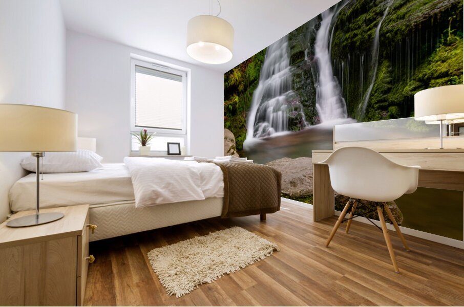 A Path into the Notch Mural print