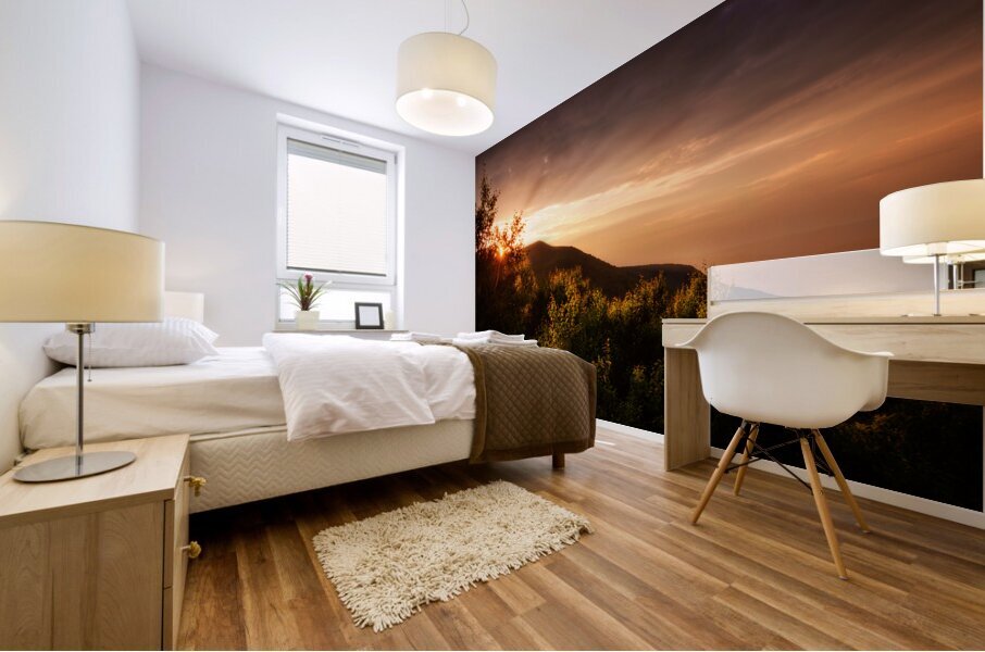 Summer Sunburst Mural print