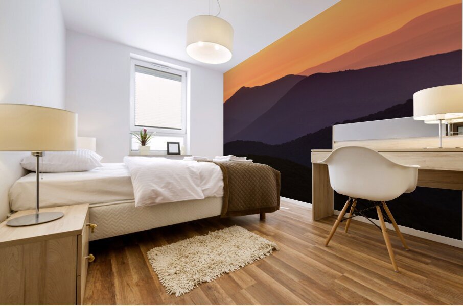 Golden Hour Mural print