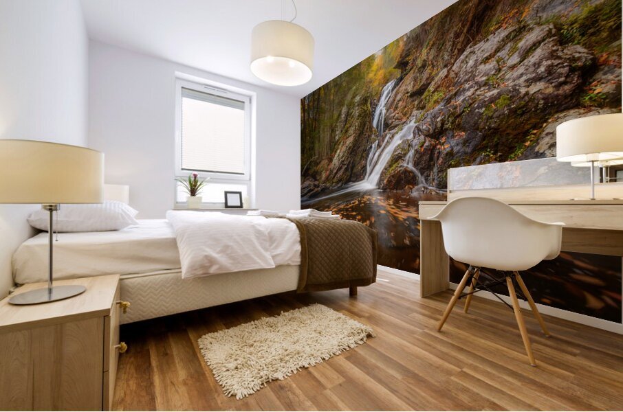 Campbell Falls Mural print