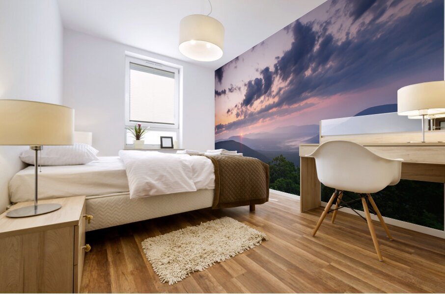 Summer Sunrise Mural print