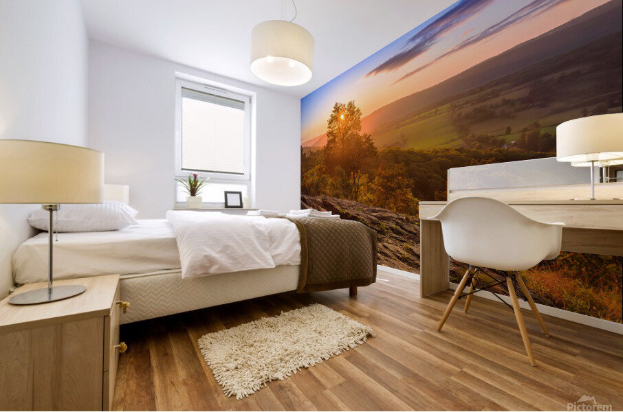 Cat Rock Mornings Mural print